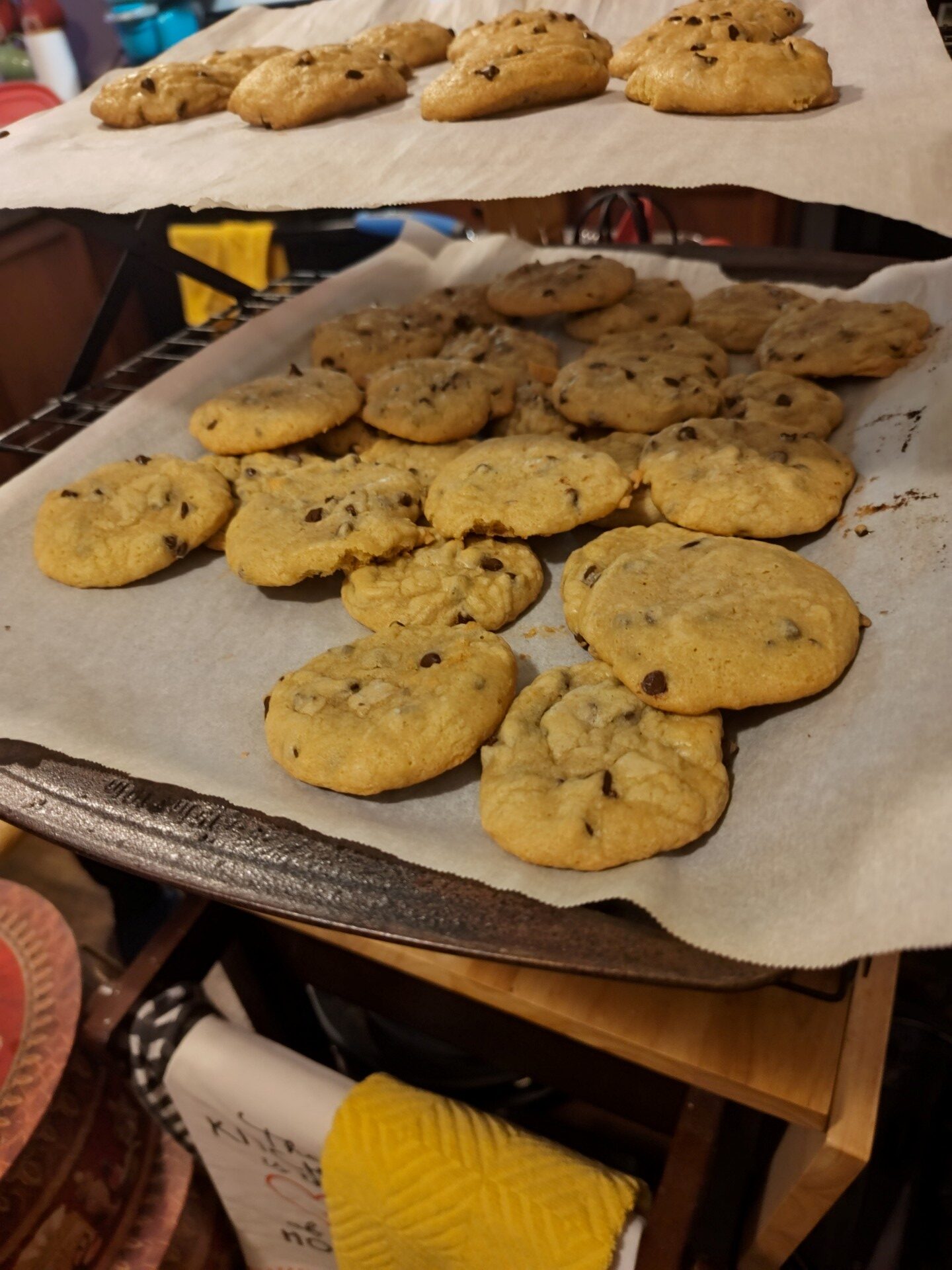 img 20241210 190205778